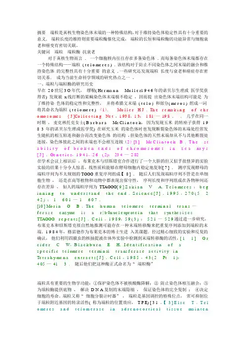 端粒综述