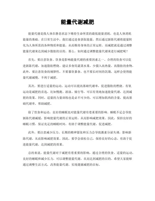 能量代谢减肥