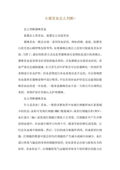 小猫贫血怎么判断--怎么判断猫咪贫血
