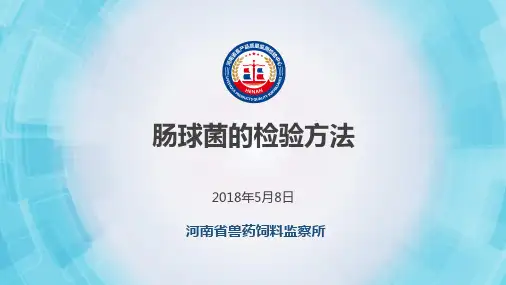 肠球菌检测