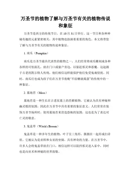 万圣节的植物了解与万圣节有关的植物传说和象征