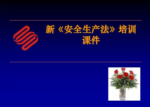 新安全生产法(2014年版)-培训课件