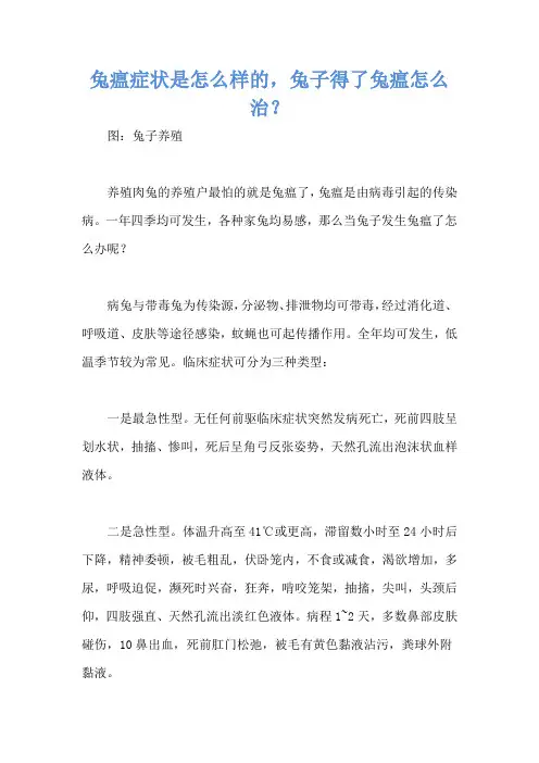 兔瘟症状是怎么样的,兔子得了兔瘟怎么治？