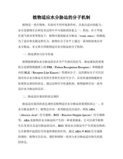 植物适应水分胁迫的分子机制