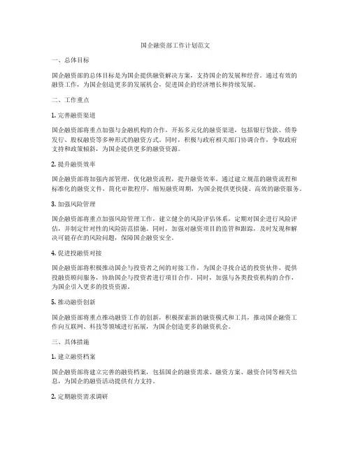 国企融资部工作计划范文