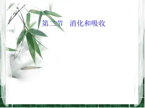 新人教版生物七年级下册课件： 消化和吸收(共26张PPT)