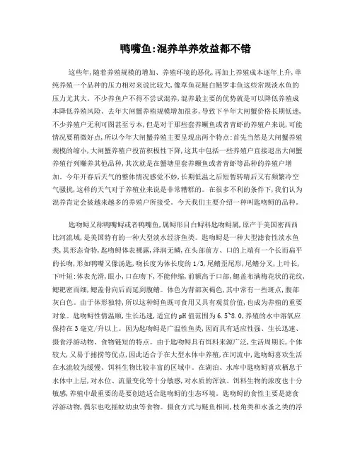 鸭嘴鱼：混养单养效益都不错