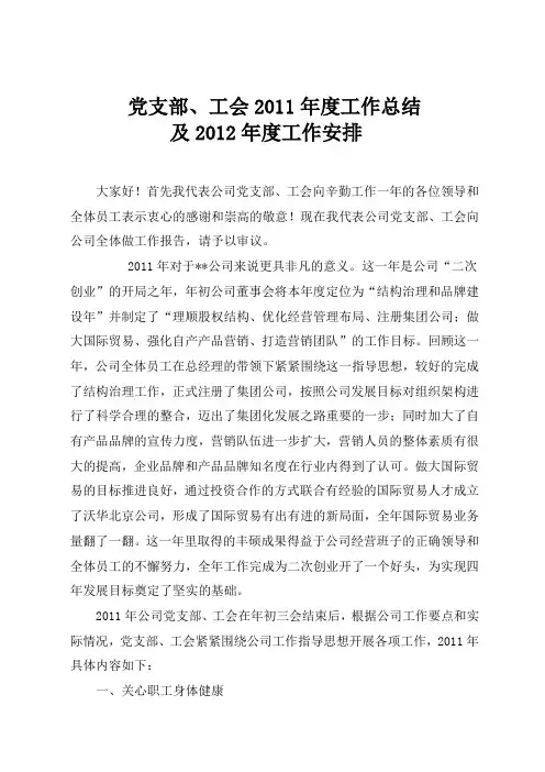 党支部工作总结及工作安排