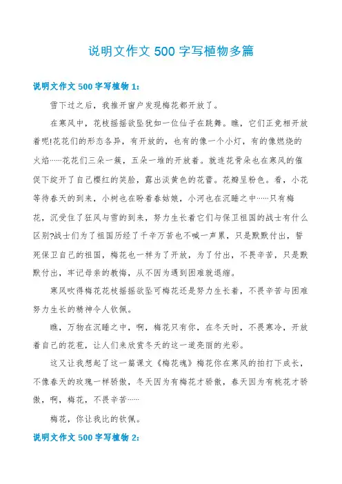 说明文作文500字写植物多篇