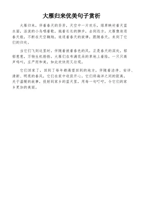 大雁归来优美句子赏析