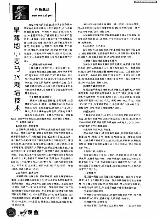 旱薄地小麦节水栽培技术