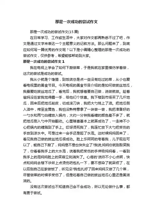 那是一次成功的尝试作文