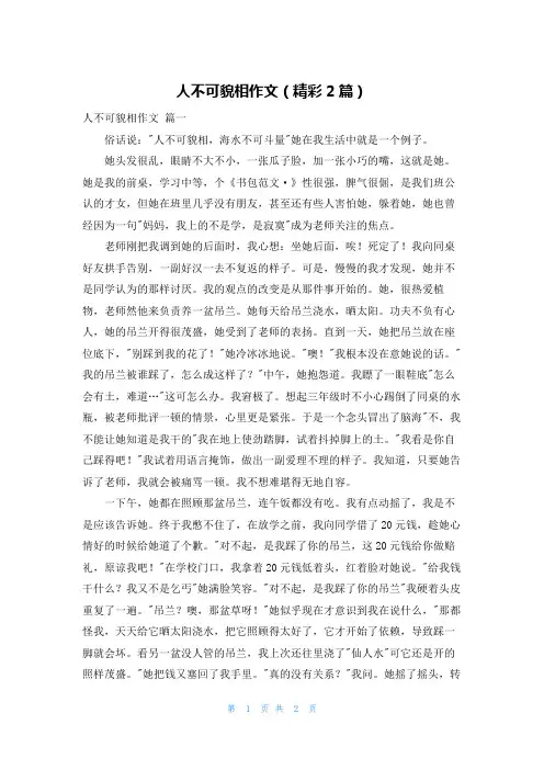 人不可貌相作文(精彩2篇)