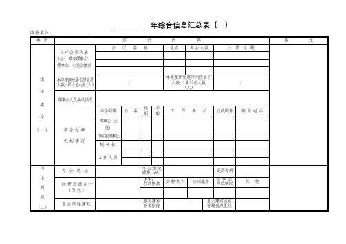 综合信息汇总表【模板】