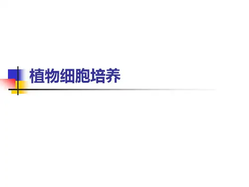 植物细胞培养