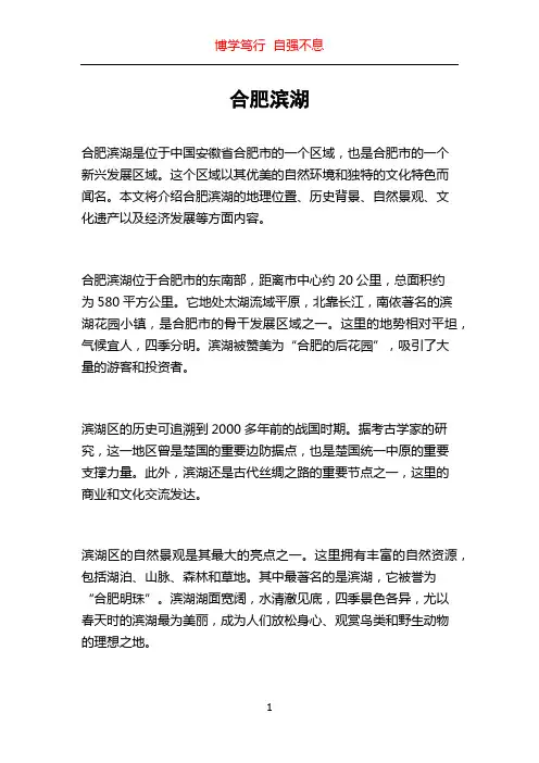 合肥滨湖_精品文档