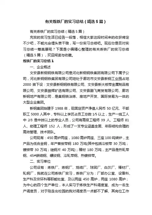 有关炼铁厂的实习总结（精选5篇）