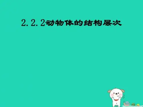 七年级生物上册2.2.2《动物体的结构层次》教学课件(29张ppt)(新版新人教版)