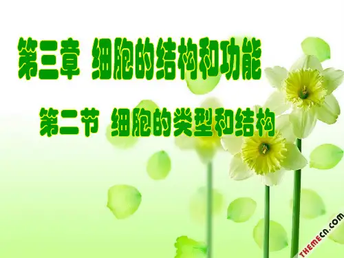 高一生物 细胞的结构和功能