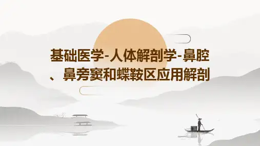 基础医学-人体解剖学-鼻腔、鼻旁窦和蝶鞍区应用解剖