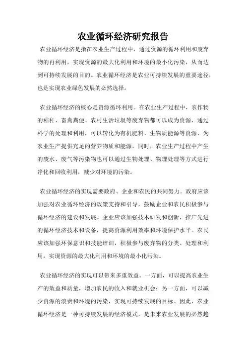 农业循环经济研究报告