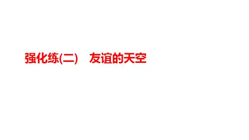中考道德与法治一轮知识复习强化(二) 友谊的天空