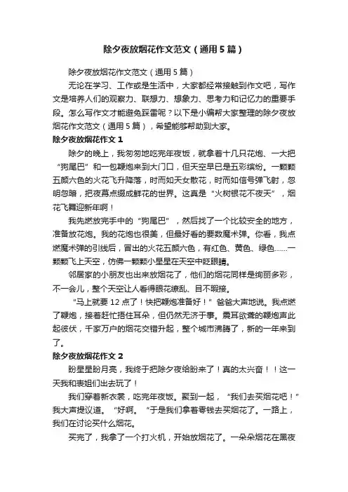 除夕夜放烟花作文范文（通用5篇）