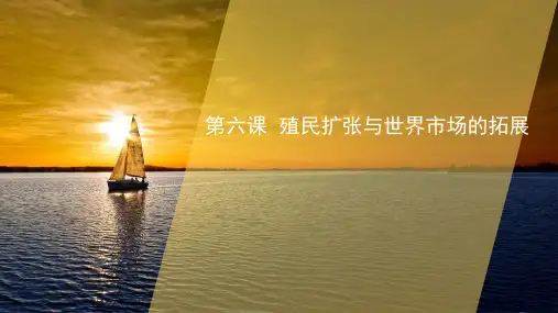 高中历史 第六课 殖民扩张与世界市场的拓展 课件 PPT