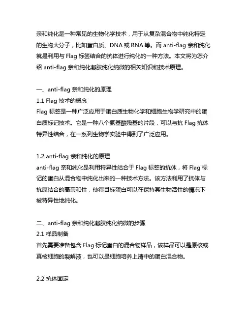 anti-flag亲和纯化凝胶纯化纳微
