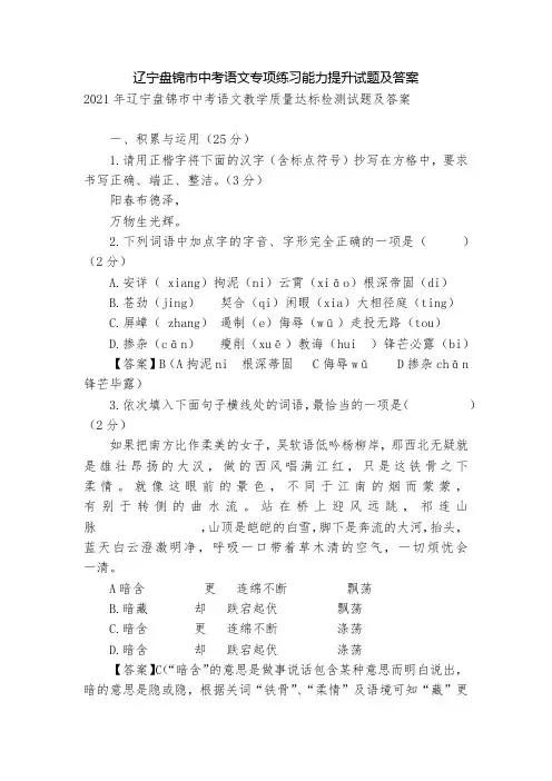 辽宁盘锦市中考语文专项练习能力提升试题及答案