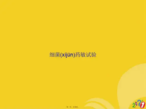 细菌药敏试验正式版ppt