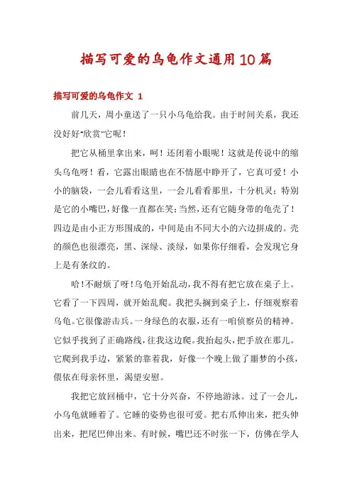 描写可爱的乌龟作文通用10篇