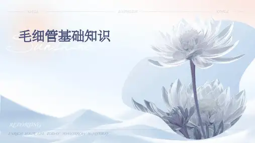 毛细管基础知识
