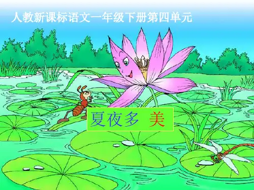 人教新课标一年级语文下册《夏夜多美》PPT课件