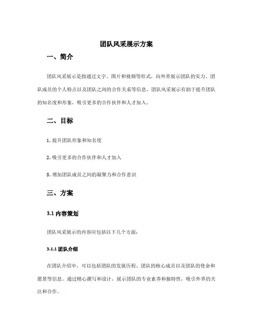 团队风采展示方案