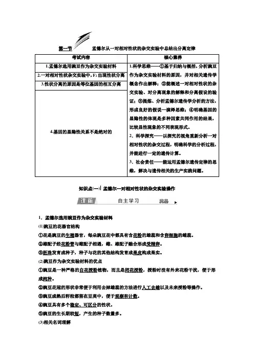 高中生物新浙科版必修2     孟德尔从一对相对性状的杂交实验中总结出分离定律 教案