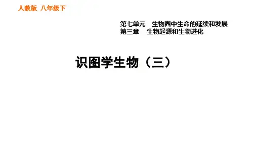 识图学生物(三) 课件 2022年春人教版八年级下册生物
