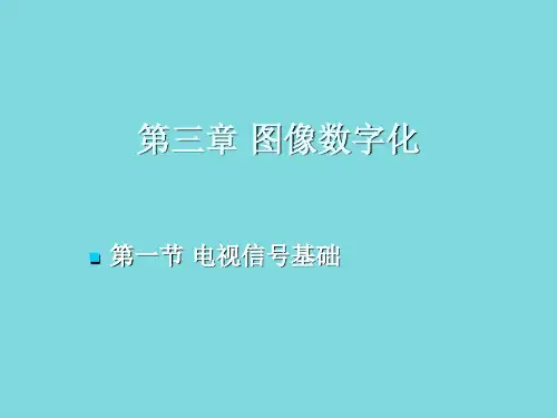 第三章 图像数字化(分析“图像”文档)共90张PPT