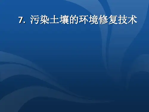污染土壤的环境修复技术 ppt课件