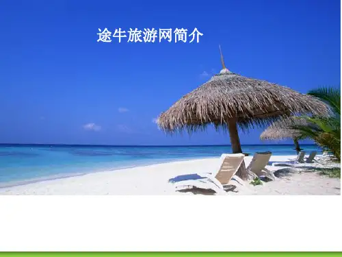 途牛网站分析精品PPT课件