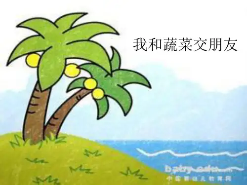三年级上册综合实践活动课件- 我和蔬菜交朋友｜长春版 25张