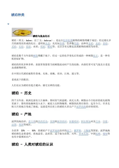 琥珀种类(图文)