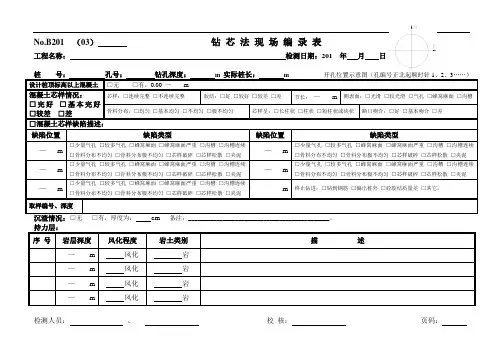 钻芯法灌注桩现场编录表