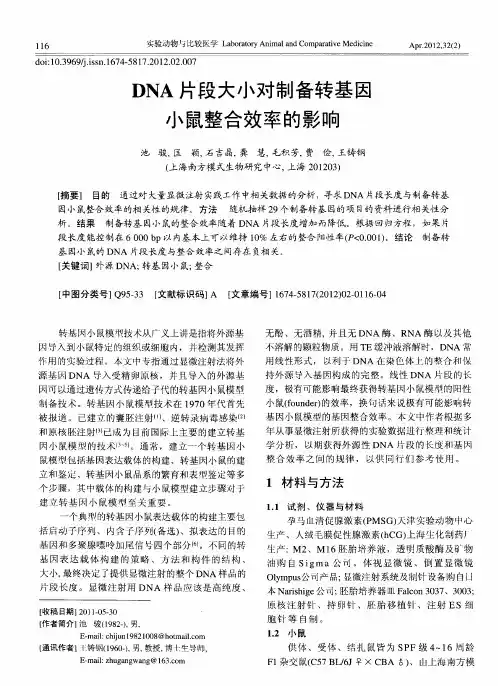 DNA片段大小对制备转基因小鼠整合效率的影响