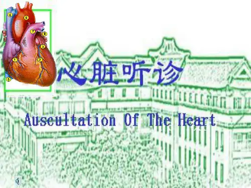 心脏检查(听诊)