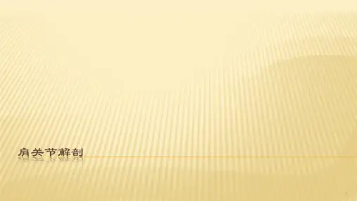 肩关节运动解剖ppt课件