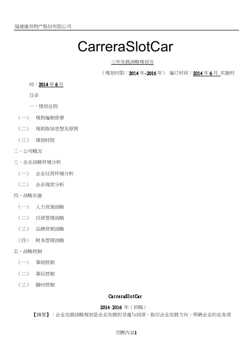 Carrera-Slot-Car未来三年发展战略规划书概述