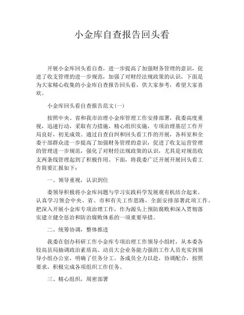 小金库自查报告回头看