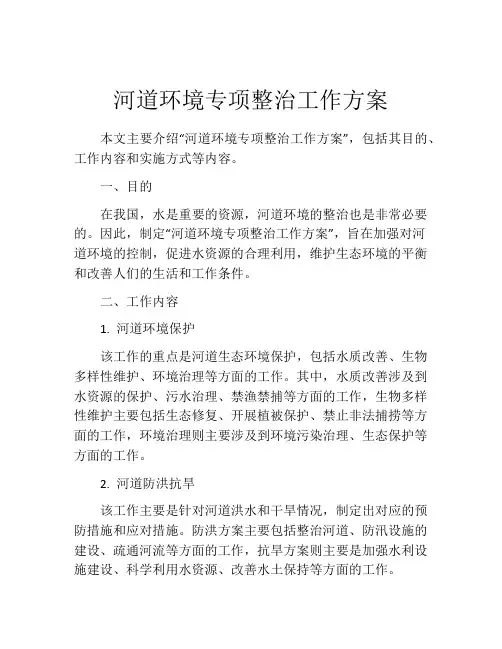 河道环境专项整治工作方案