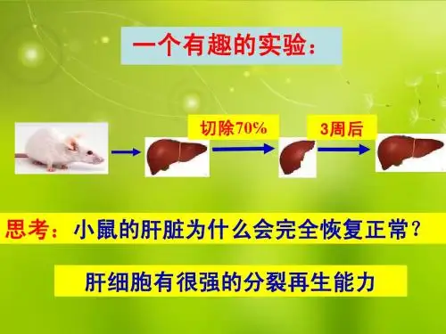 高中生物《第六章 第一节 细胞的增殖》课件5 新人教版必修1